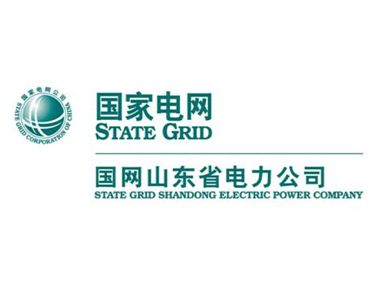 山東國(guó)網(wǎng)